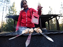 На лесных территориях появятся оборудованные пикниковые зоны