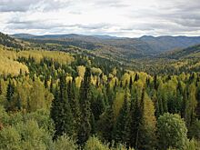 Эксперт объяснил, как защититься от клещей