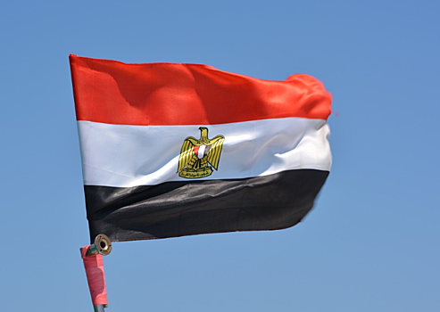 В ООН призвали Египет отменить смертные приговоры исламистам
