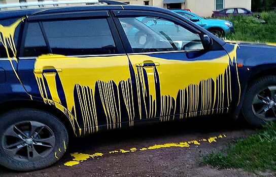Машину активистки Стоп ГОК облили краской