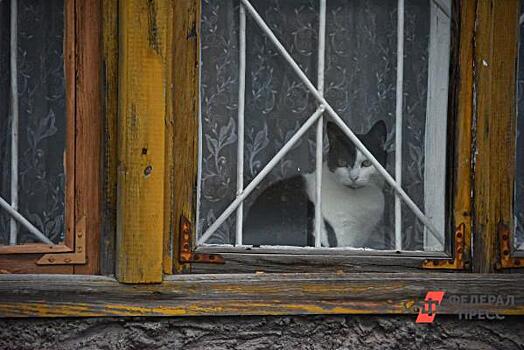 В центре Кемерова построят электросети