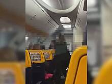 Женщина-боец избила двух полицейских на борту пассажирского самолета и попала на видео