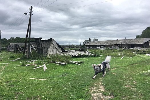 Как остановить исчезновение сел в Омской области