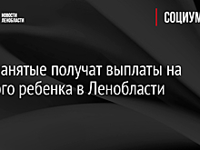 Самозанятые получат выплаты на каждого ребенка в Ленобласти
