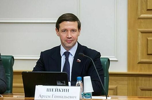 Сенатор Шейкин перечислил основные задачи развития центров обработки данных