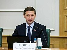 Сенатор Шейкин перечислил основные задачи развития центров обработки данных