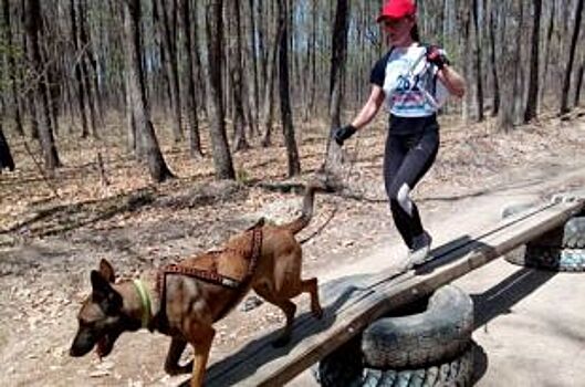 Овчарка из ГУФСИН победила в собачьей гонке героев в Приморье