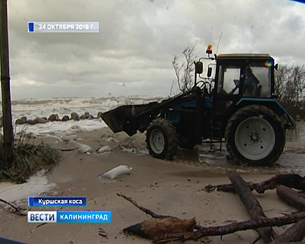 Эксперты: для решения проблемы размыва берега Куршской косы нужно расширять пляжи