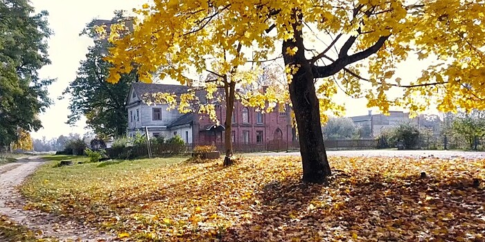 Жизнь как сказка: как сберечь историю на века и любовь до старости?