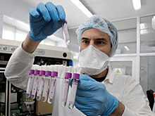 AstraZeneca и Центр Гамалеи объединят свои вакцины. Что даст эта коллаборация?