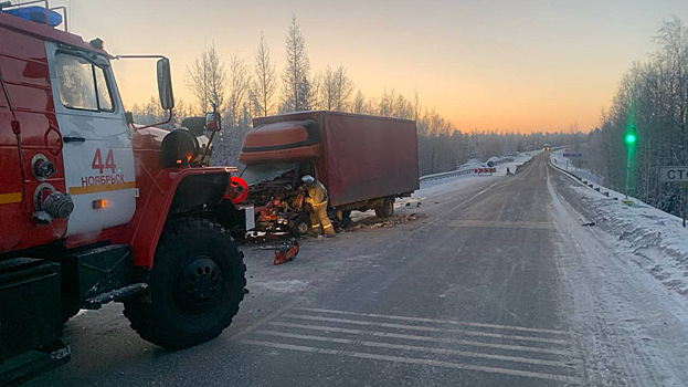 Кабина всмятку: в ДТП на трассе Сургут — Салехард пострадал водитель «Газели»