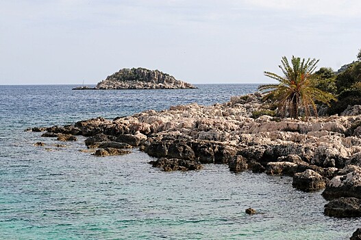 «Аэрофлот» назвал даты первых международных рейсов из Краснодара