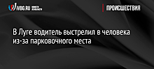 В Луге водитель выстрелил в человека из-за парковочного места