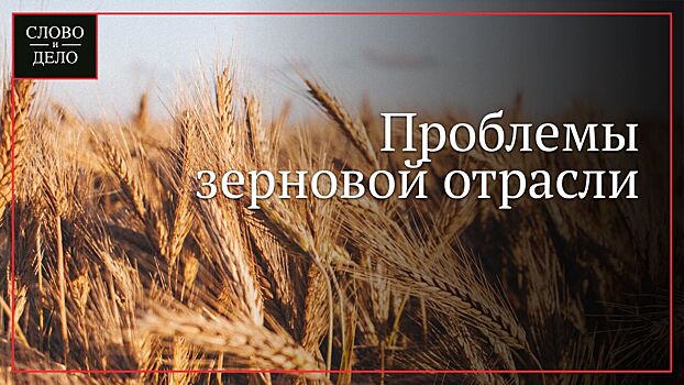 Президент Российского Зернового Союза рассказал, почему дорожает хлеб