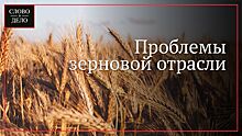 Президент Российского Зернового Союза рассказал, почему дорожает хлеб