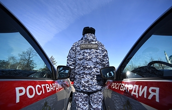 Росгвардия за год предотвратила более 7 тысяч правонарушений на охраняемых объектах