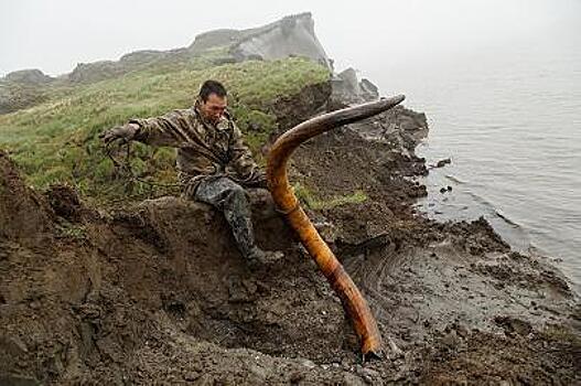 Якутия нуждается в законах о вечной мерзлоте и добыче костей мамонтов