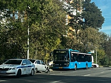 В ЗелАО произошло 74 ДТП