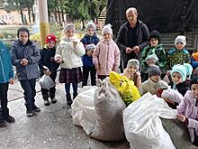 В Щигровском лесничестве Курской области первоклассники собирали 400 кг каштанов