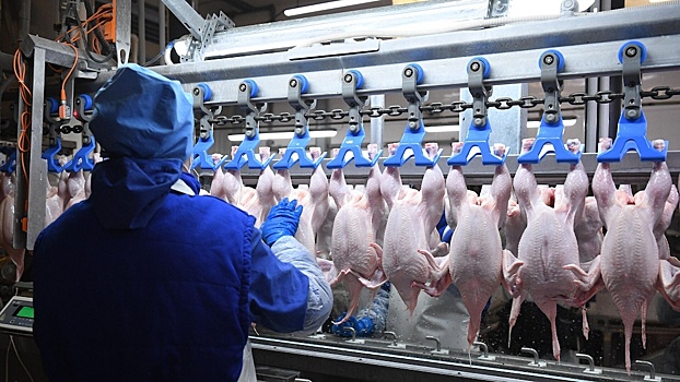В России предложили временно запретить экспорт мяса птицы