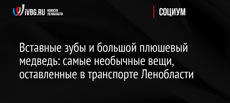 Вставные зубы и большой плюшевый медведь: самые необычные вещи, оставленные в транспорте Ленобласти