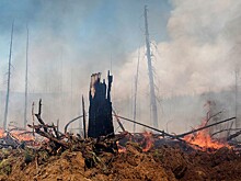 Пожар распространился на 20 строений в омской деревне Луговая