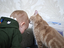 В Волгоградской области почти наполовину закончили строительство детсада