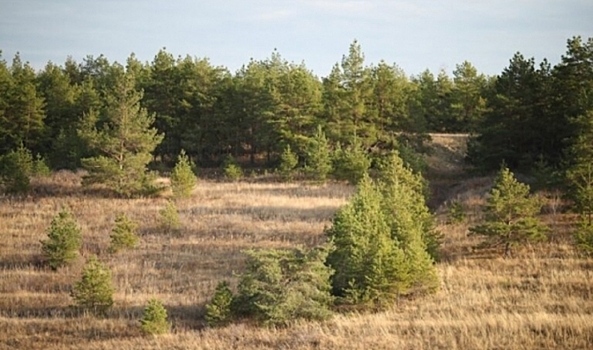 В Городищенском районе Волгоградской области 22 июня уничтожат ФАБ-50