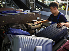 Ространснадзор контролирует ситуацию с задержкой багажа на рейсе Москва - Дубай