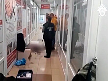 В Ленобласти тракторист жестоко убил в торговом центре жену - владелицу салона красоты