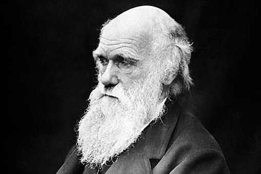 Комиссия по лженауке РАН заступилась за преподавание теории Дарвина