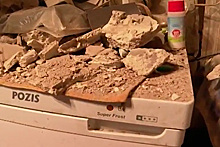 Потолок в квартире в Санкт-Петербурге рухнул во время ужина супругов