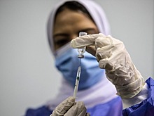 Могут ли российские туристы привиться европейской вакциной в Египте?