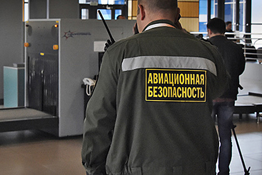 Бывшего депутата Госдумы сняли с рейса за дебош