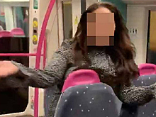 Пассажирка поезда сексуально домогалась попутчиков