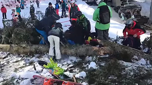 Момент падения огромного дерева на сноубордистку во время прохождения трассы попал на видео