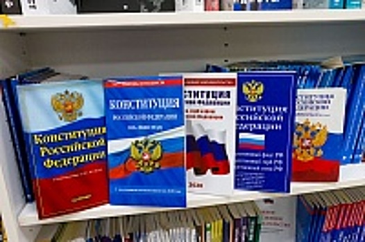 В Общественной палате рассказали о «золотом стандарте» при наблюдении за голосованием