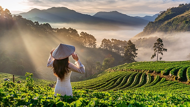 Что известно о проблемах с заселением в отели Вьетнама