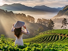 Что известно о проблемах с заселением в отели Вьетнама