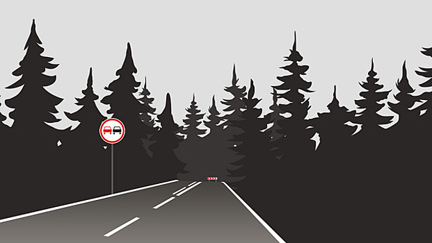 Разметка есть, а знаков не хватает: на балтийской трассе появилась ловушка для водителей