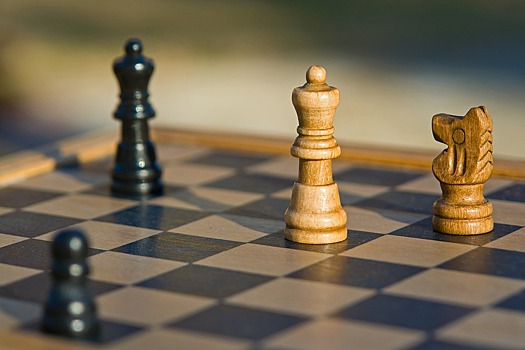 Дубов стал пятым на шахматном супертурнире в Вейк-ан-Зее