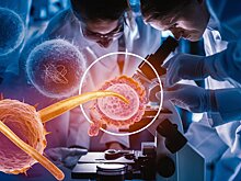 Созданы эффективные молекулы против супербактерий