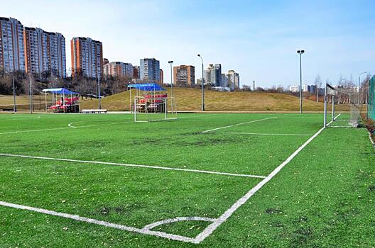 Спортивное соревнование по футболу пройдет в городском округе Троицк