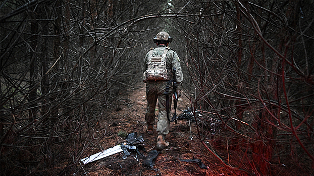 Вынесен приговор обманувшей мать пропавшего бойца СВО почти на два миллиона