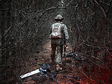 Вынесен приговор обманувшей мать пропавшего бойца СВО почти на два миллиона