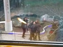 Депутат Госдумы устроил стрельбу на улице