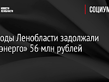 Садоводы Ленобласти задолжали «РКС-энерго» 56 млн рублей