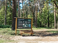 В Рязанской области запретили гулять по тропе Паустовского