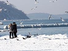 На Балтийском море начал формироваться лед