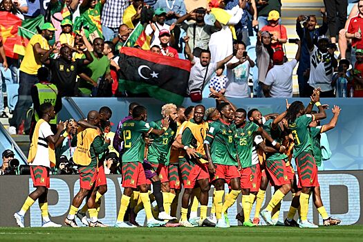 В сборной Камеруна остались довольны приемом в России